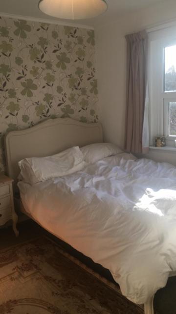 1 Laurel Cottages Dawlish Exteriör bild